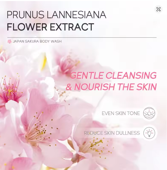LAIKOU Sakura Shower Gel