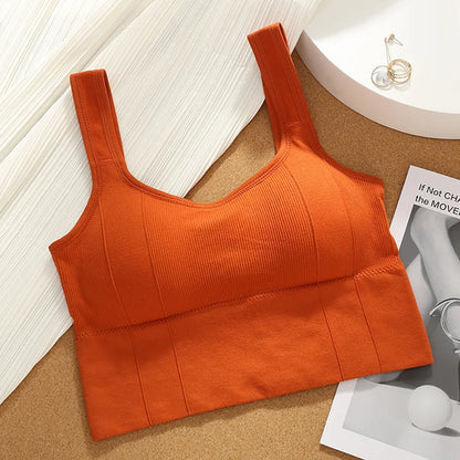 Soutien-gorge de sport sans coutures pour femmes, haut court respirant et élégant