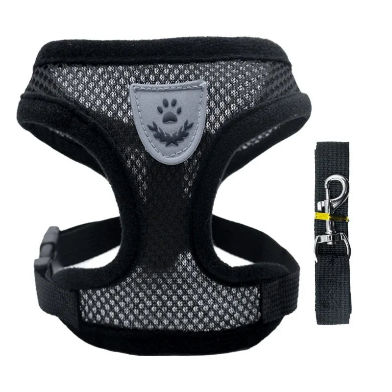 harnais de poitrine pour promener un chien ou un chat