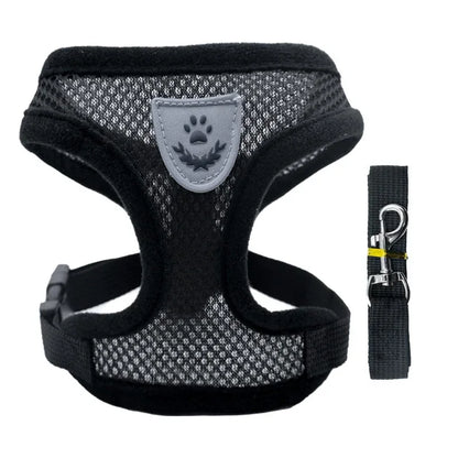 harnais de poitrine pour promener un chien ou un chat