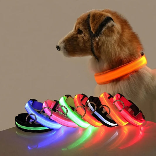 Laisse de sécurité nocturne en nylon à LED, clignotante et phosphorescente