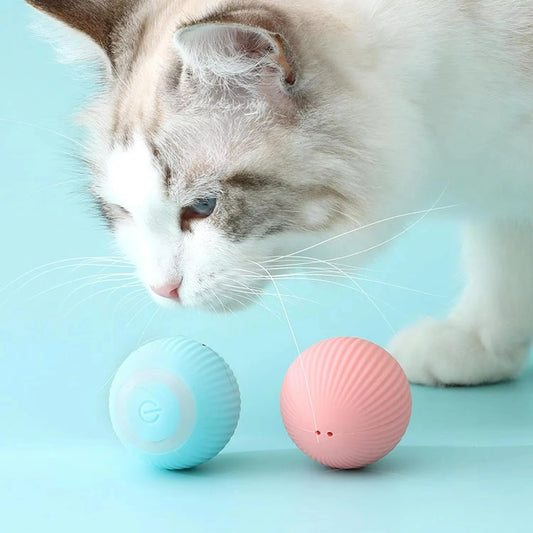 Balle interactive automatique pour chat, jouet intelligent pour chat