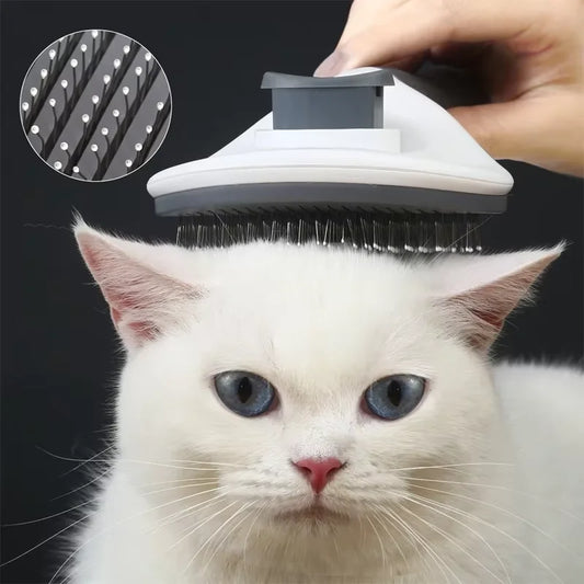 Brosse pour animaux de compagnie