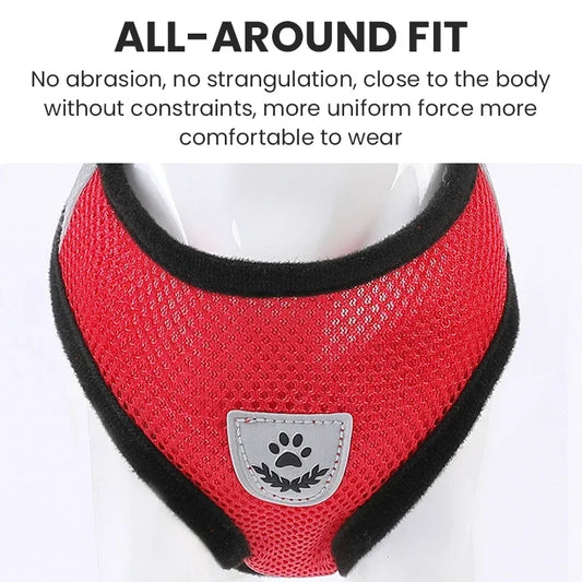 harnais de poitrine pour promener un chien ou un chat