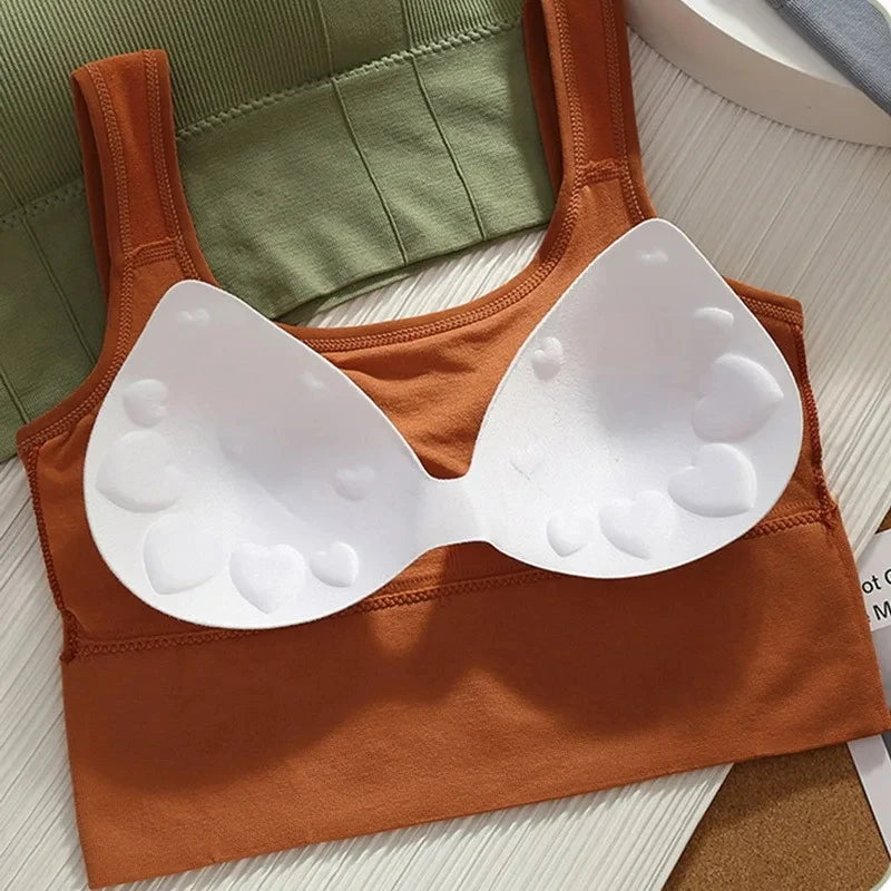 Soutien-gorge de sport sans coutures pour femmes, haut court respirant et élégant