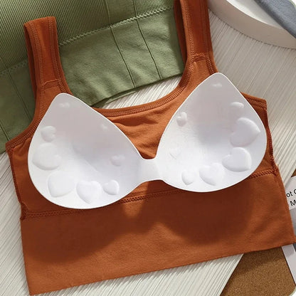 Soutien-gorge de sport sans coutures pour femmes, haut court respirant et élégant