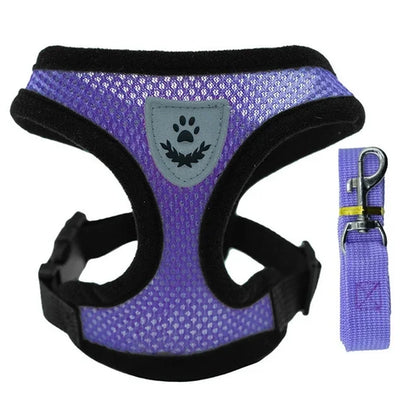 harnais de poitrine pour promener un chien ou un chat