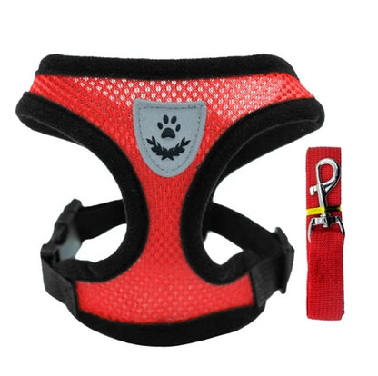 harnais de poitrine pour promener un chien ou un chat