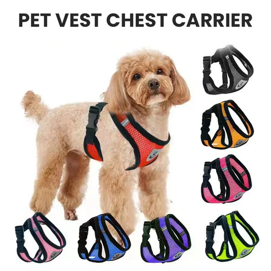 harnais de poitrine pour promener un chien ou un chat